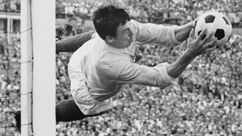 gordon-banks-novibet