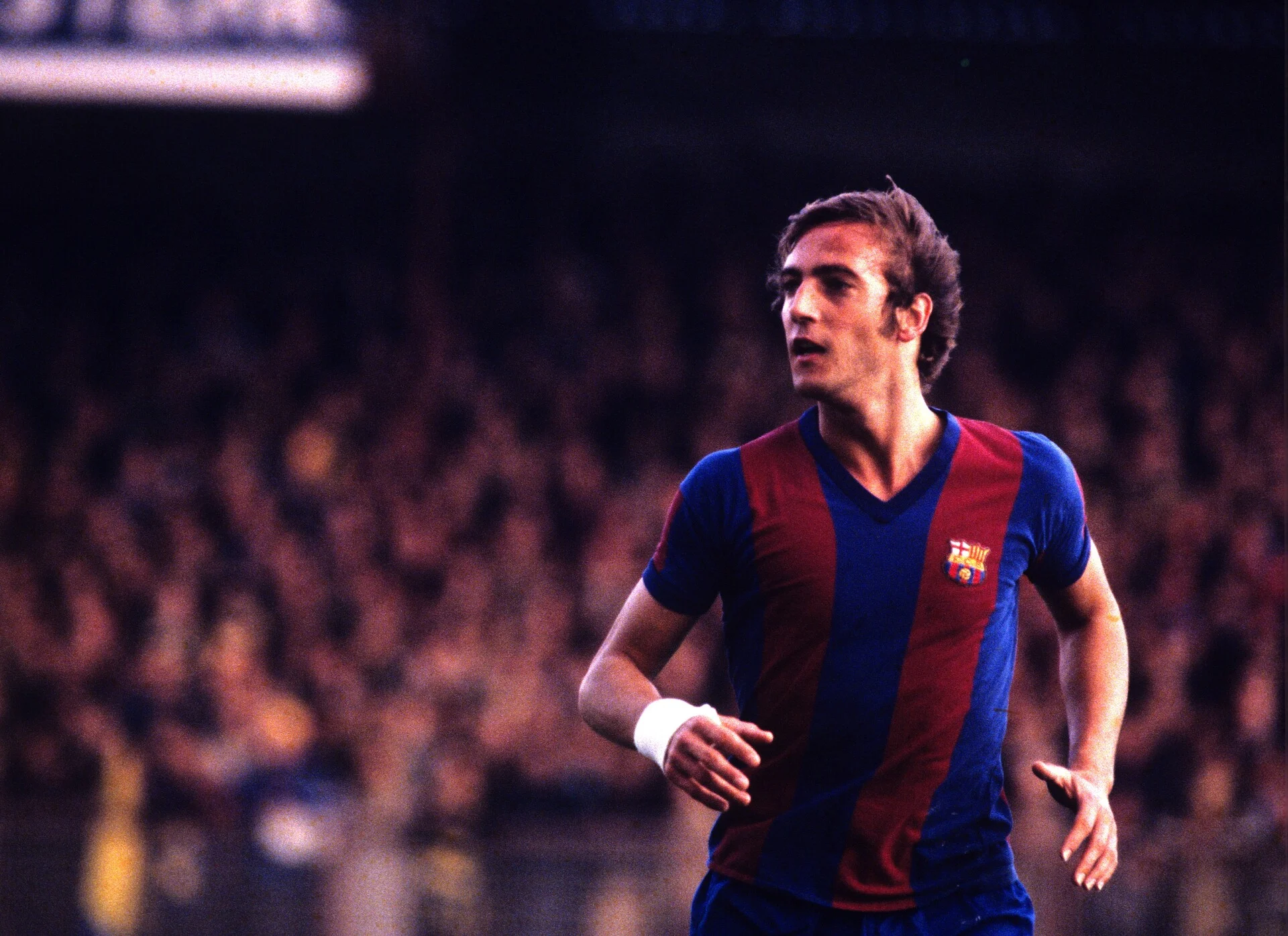 johan-neeskens-novibet