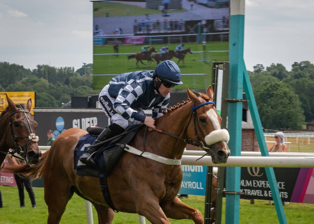 silver flyer will be winning soon brian hughes novibet 2