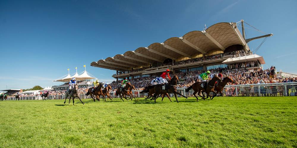 goodwood 2022 horse racing novibet 1