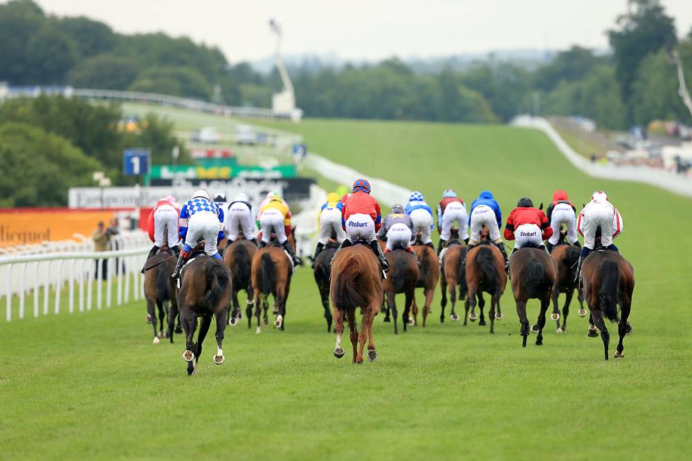 goodwood 2022 horse racing novibet 2