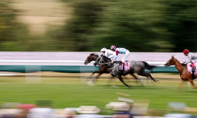 goodwood 2022 horse racing novibet 3