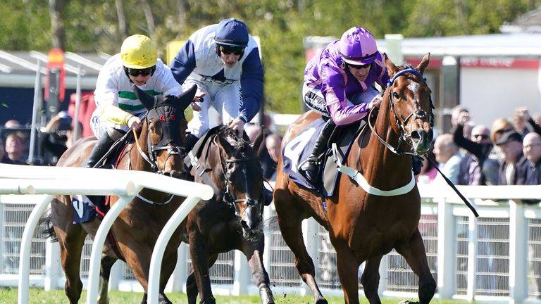 put the wip debate to bed brian hughes novibet 3