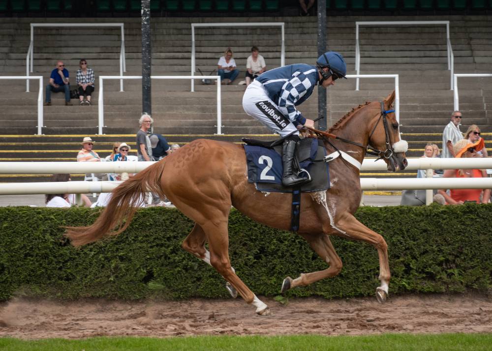 horse racing brian hughes novibet 2