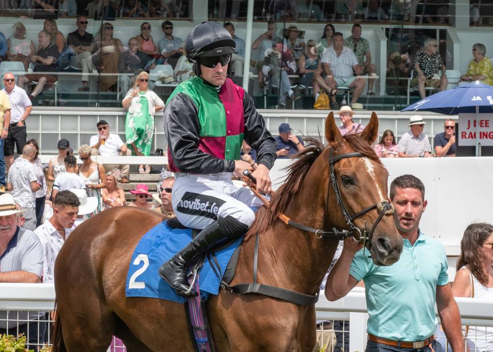 brian hughes horse racing novibet ie 2