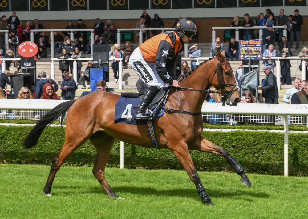 silver flyer will be winning soon brian hughes novibet 1