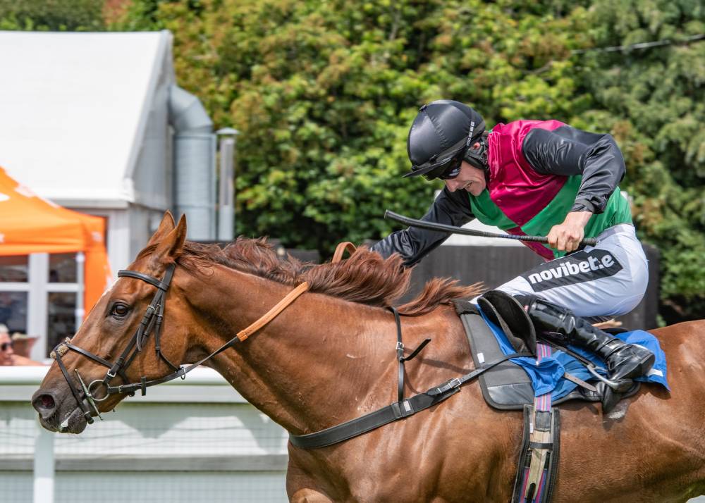 brian hughes ie horse racing novibet 1