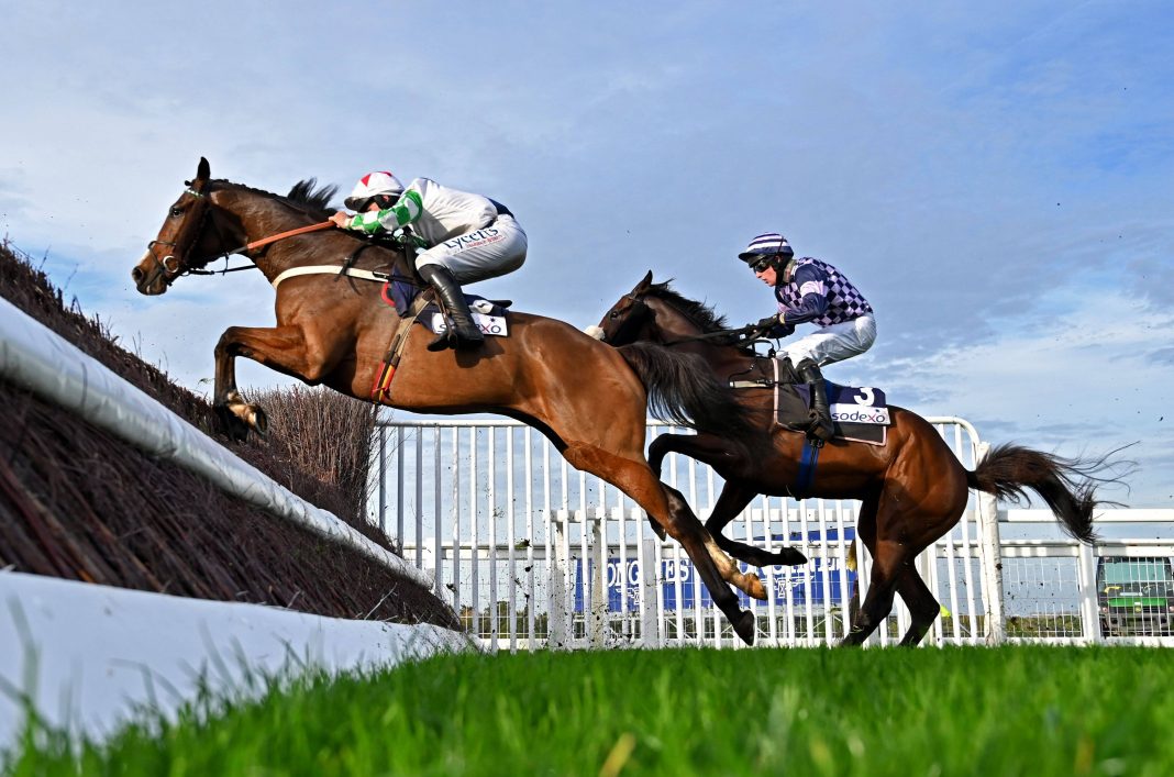 horse racing saturday preview novibet