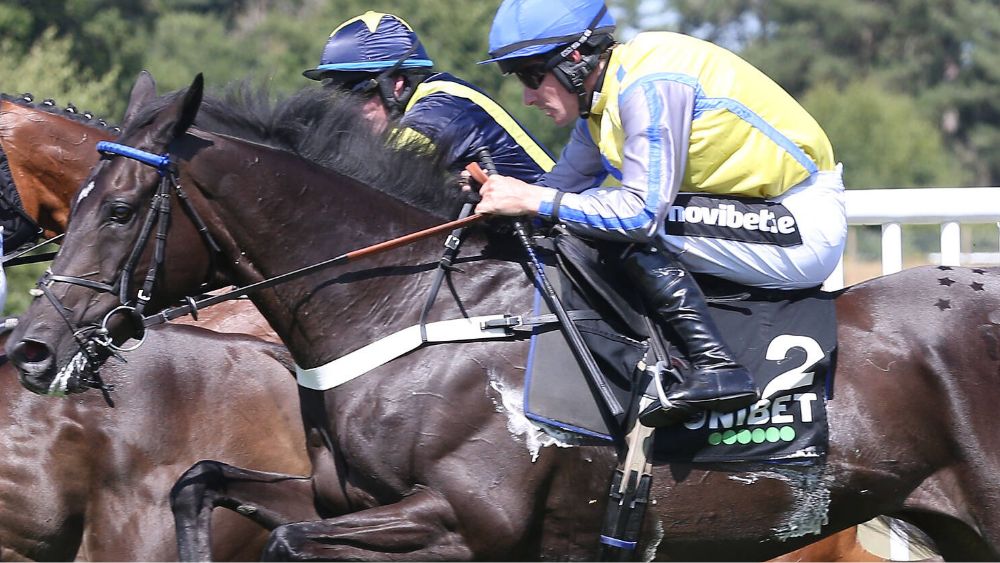 brian hughes blog i wouldnt swap maximilian for anything novibet(1)