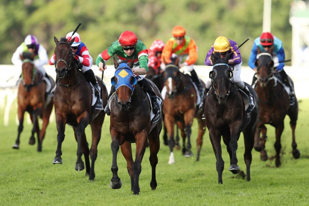 horse racing preview saturday warwick kempton novibet