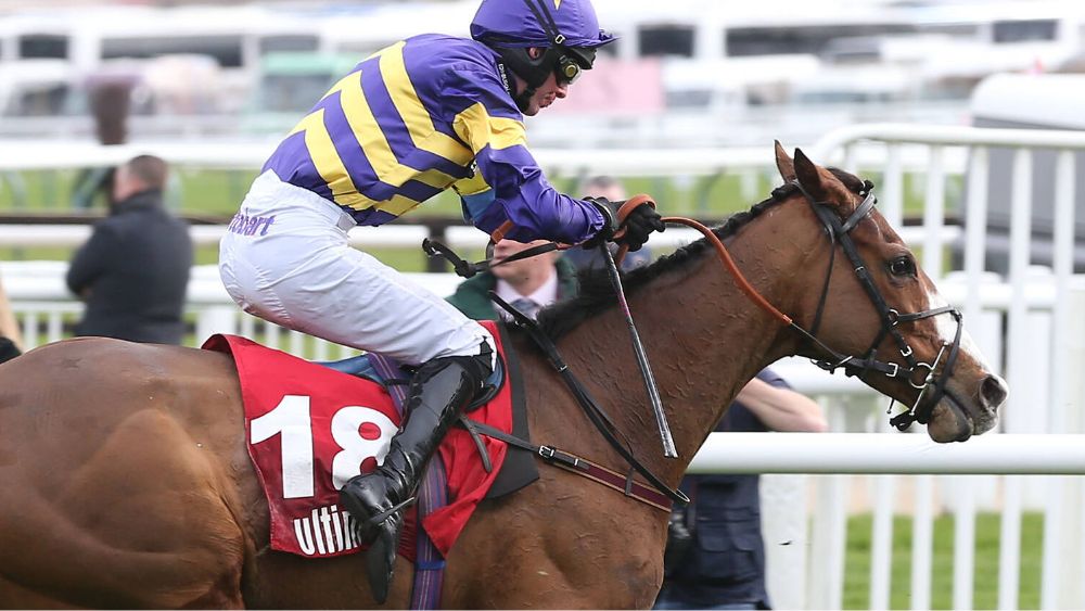 brian hughes blog 12/04/2023 i hope derek is fit for corach rambler novibet