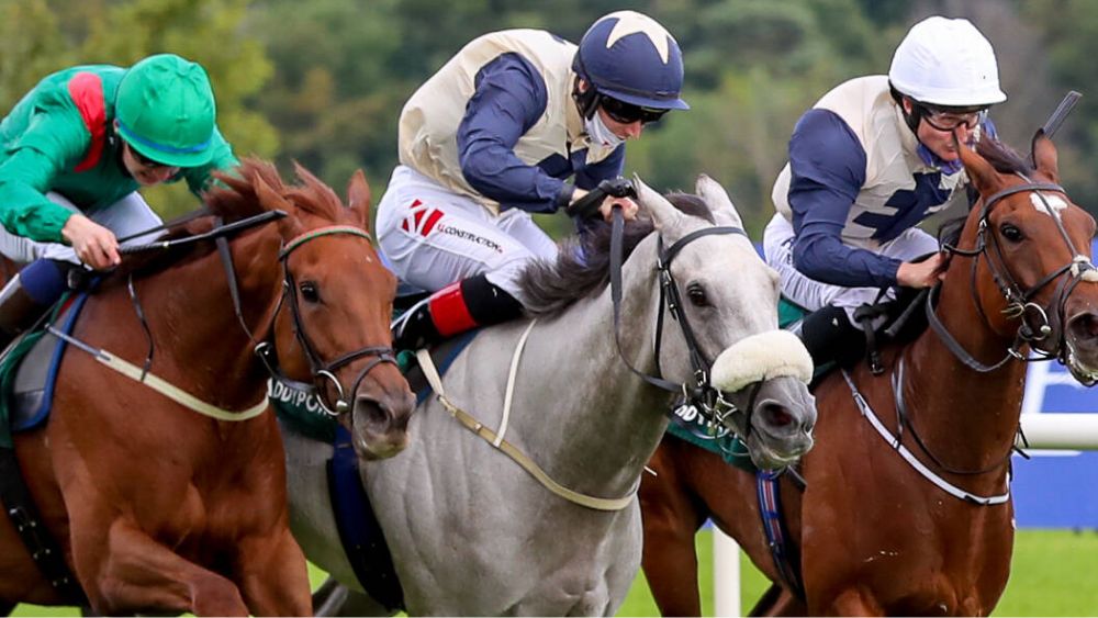 downpatrick top picks 02/04/2023 preview and suggested bets novibet