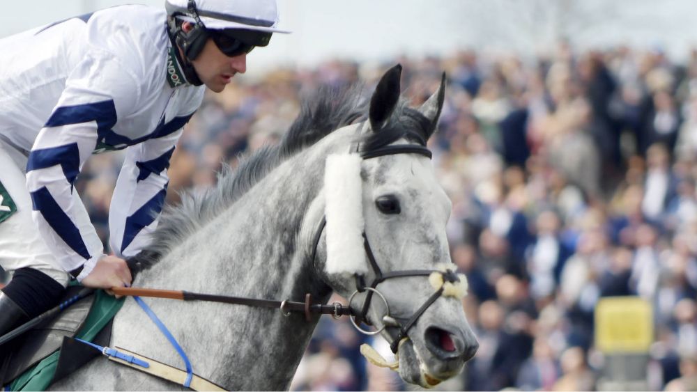 brian hughes blog 16/06/2023 novibet(1)