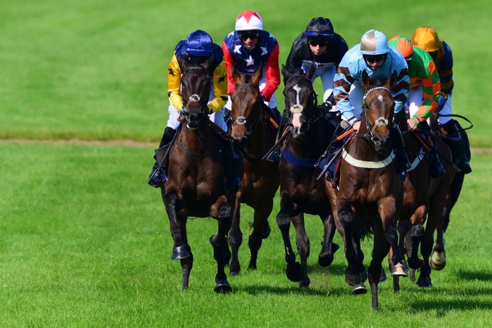 cork racecourse 16 06 2023 novibet