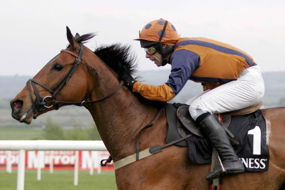 naas racecourse 28 06 2023 novibet
