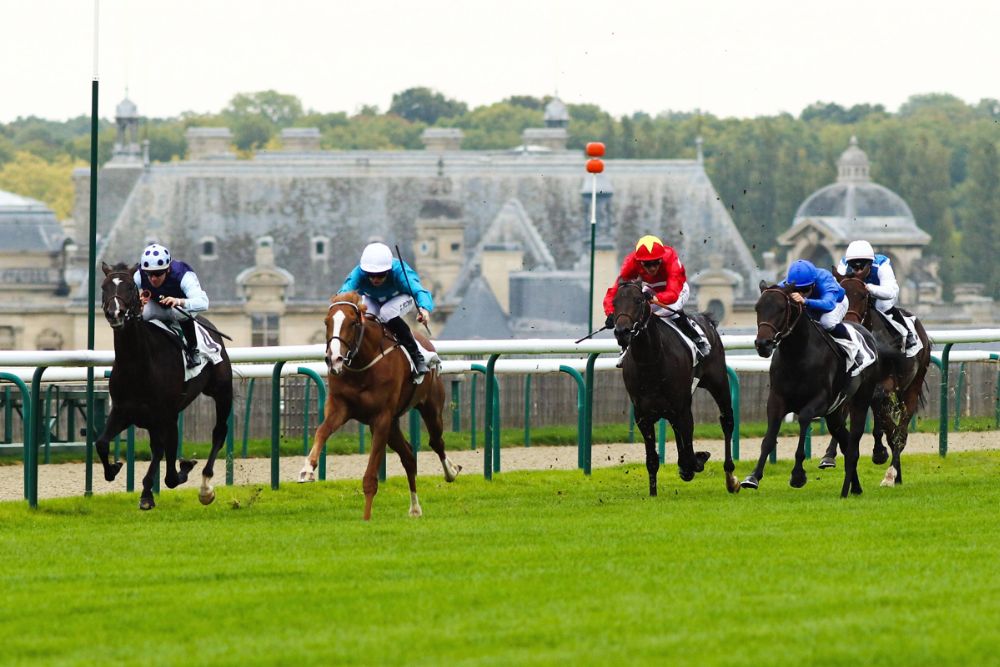navan racecourse 11 06 2023 top picks novibet