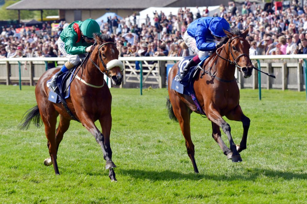 newcastle newmarket curragh 01 07 2023 novibet (1)