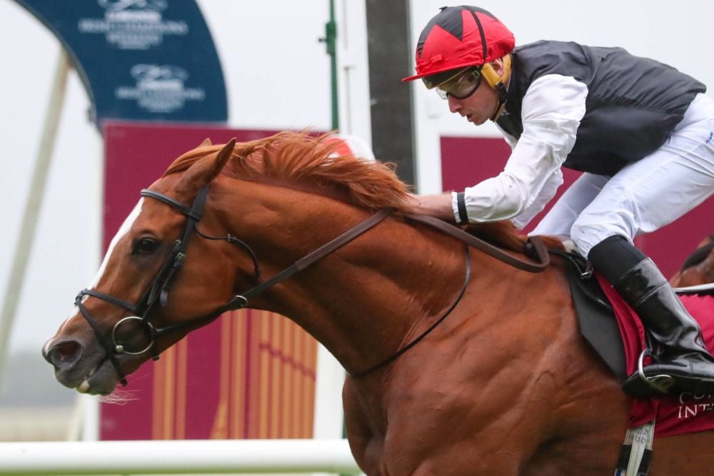 newcastle newmarket curragh 01 07 2023 novibet (2)