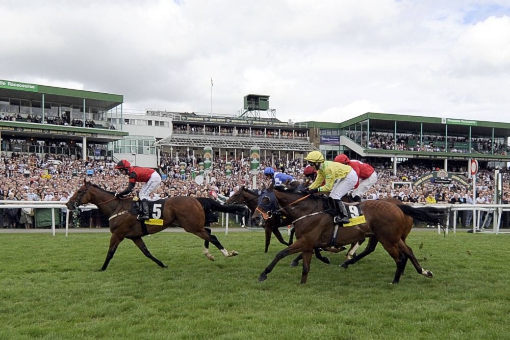 newcastle newmarket curragh 01 07 2023 novibet