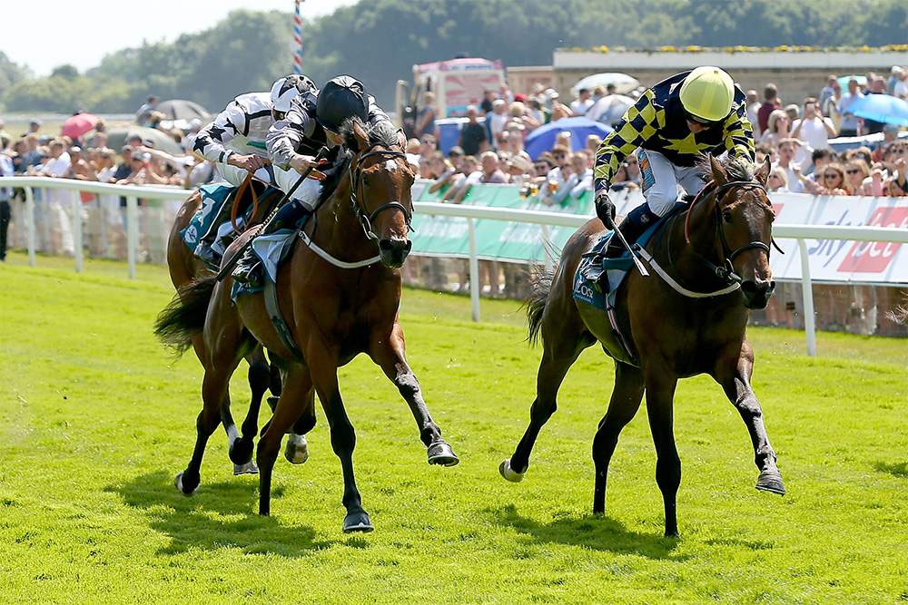 fairyhouse racecourse 12 07 23 preview novibet