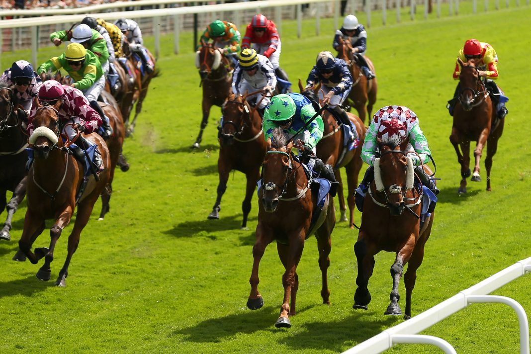 york racecourse 24 08 2023 novibet