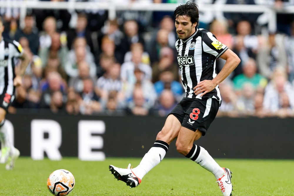 brighton and hove albion vs newcastle united 02 09 2023 novibet