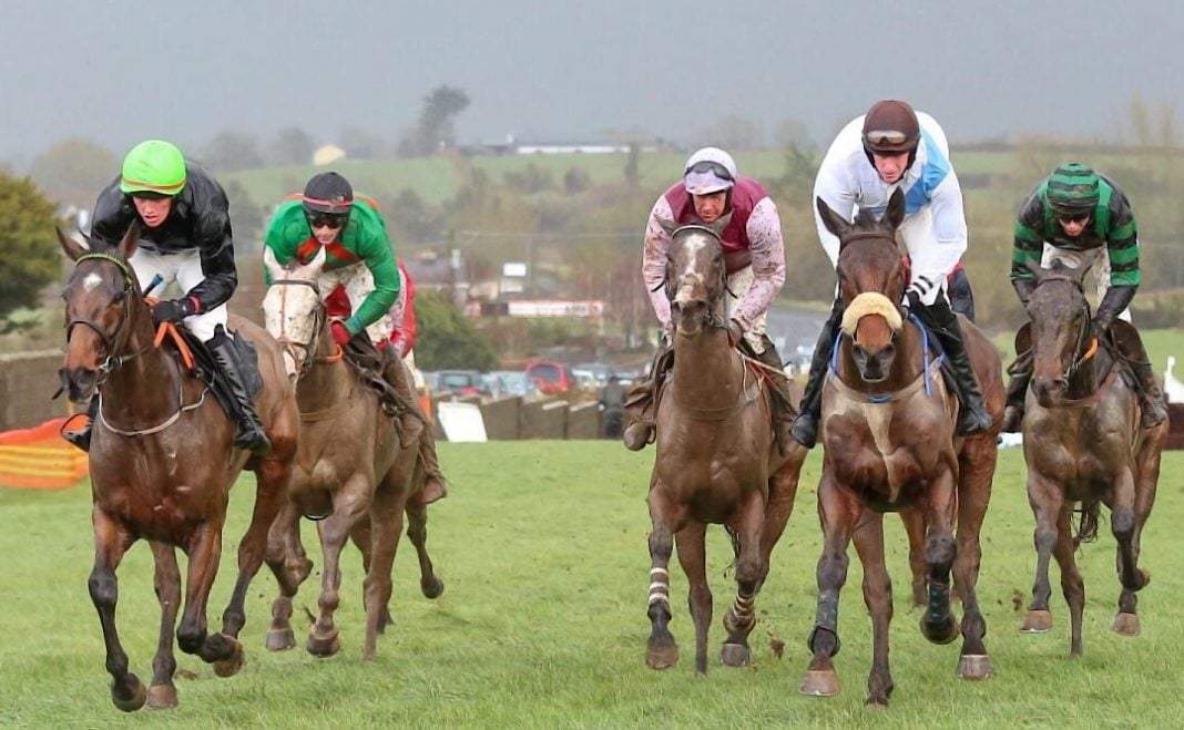 Horses gallop towards the camera