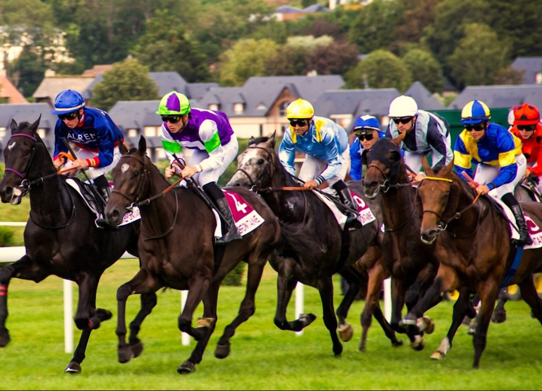 Horses gallop on the racetrack
