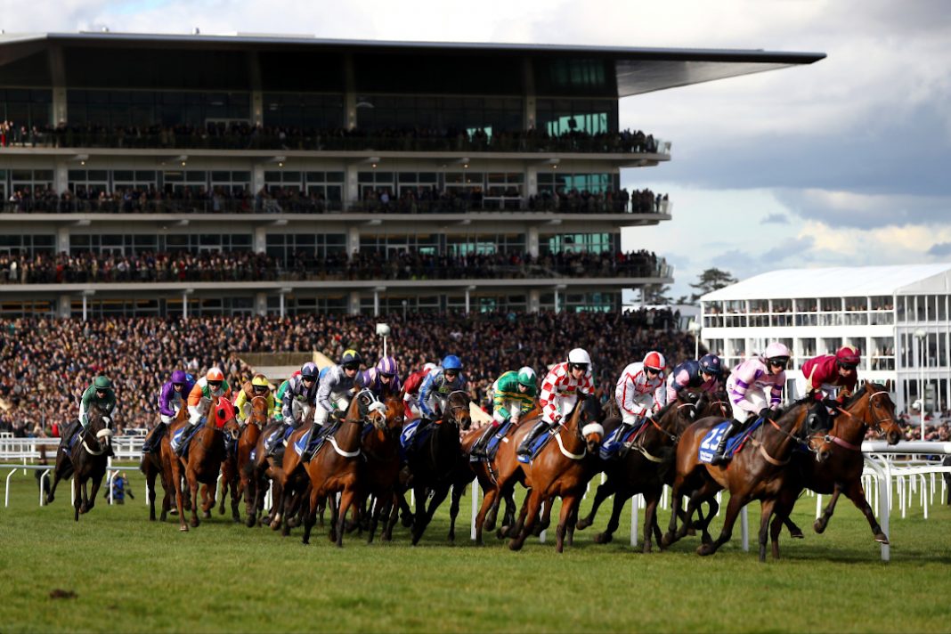 Horses rounding the bend at the Cheltenham Festival