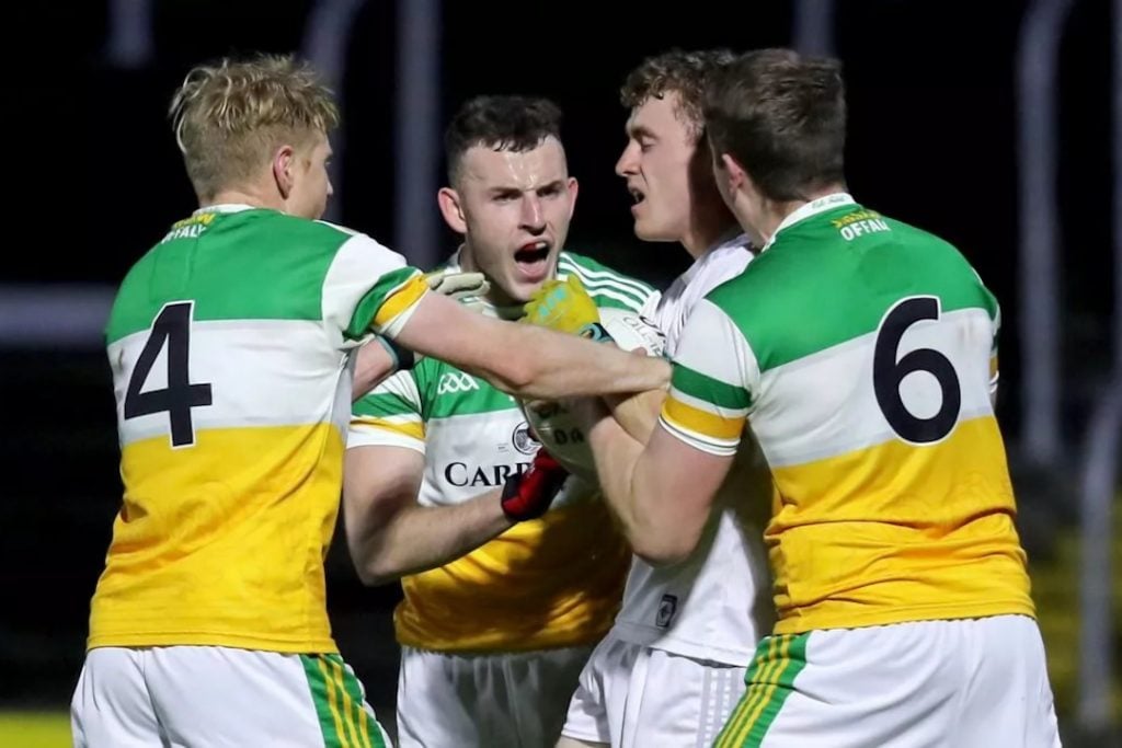 Offaly players celebrating