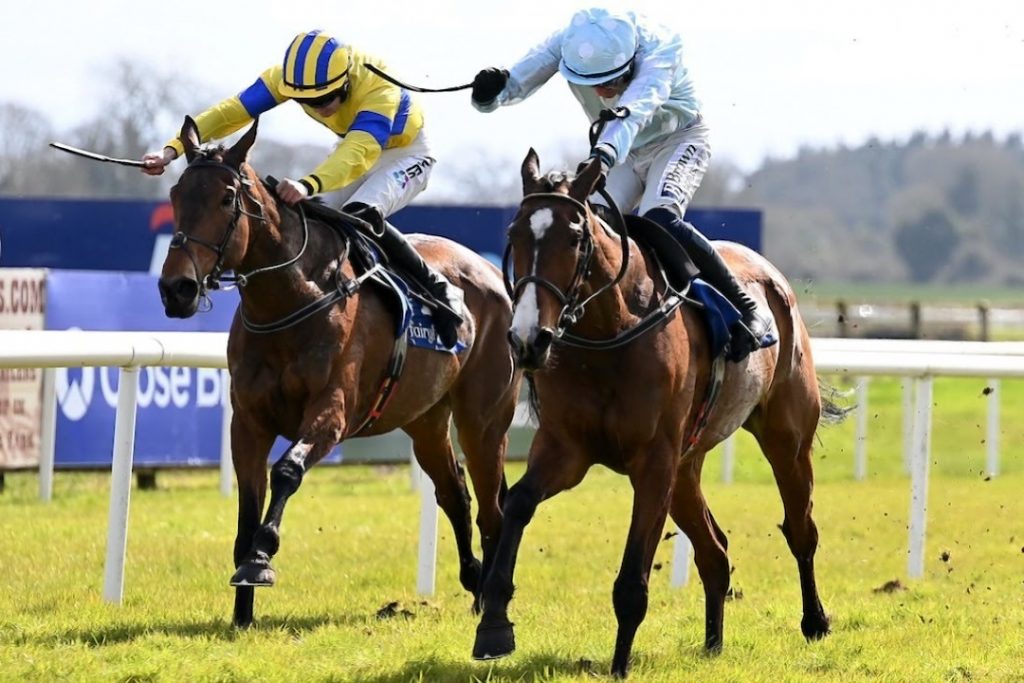 Two horses racing to the finish at the Punchestown Festival