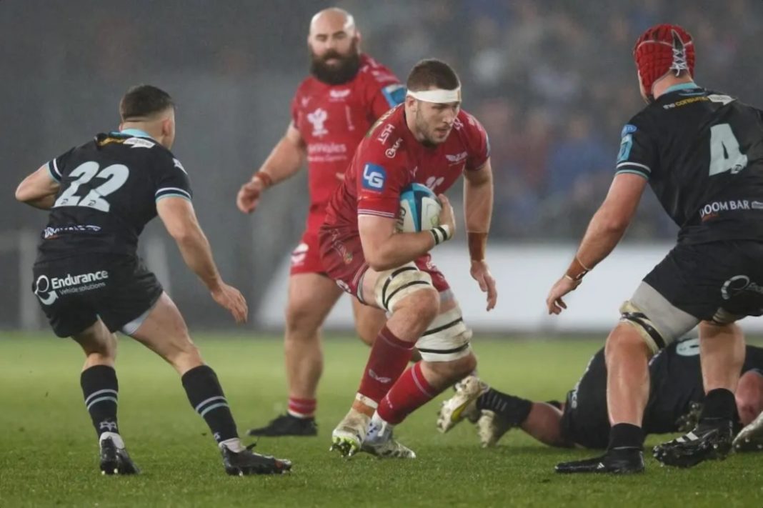 A Scarlets Rugby player running with the ball