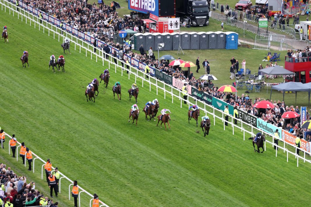 Horses racing at Leopardstown