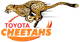 Cheetahs