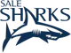 Sale Sharks